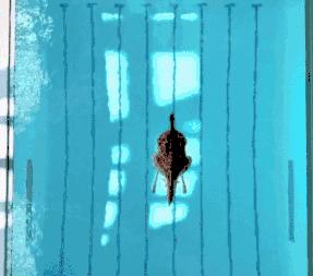 徐大夫真假辨别,假性宫缩科普视频