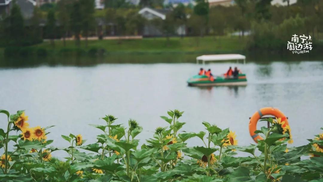 南宁花海公园在哪里,南宁嘉和城附近花海