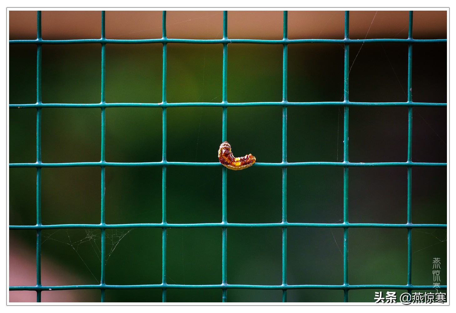 索尼除了24105还有哪些经典镜头,索尼40-2.5镜头评测