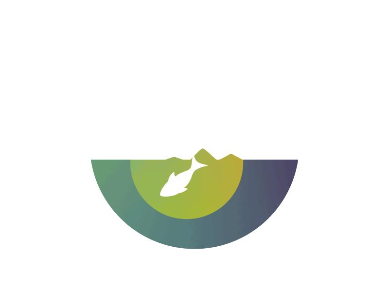 往事如烟回味多年,往事之烟