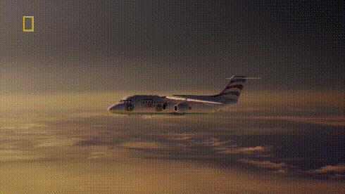 巴西球队遭遇空难沙佩科恩斯,巴西沙佩科恩斯足球