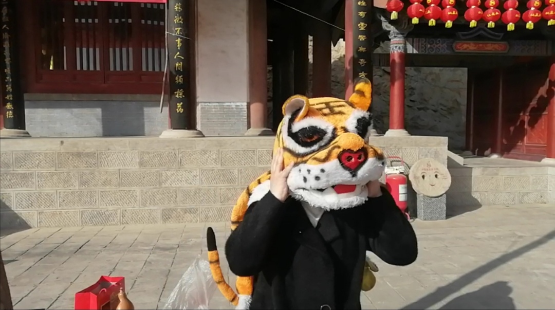 海拔500多米高山,500多米高山出现罕见一幕