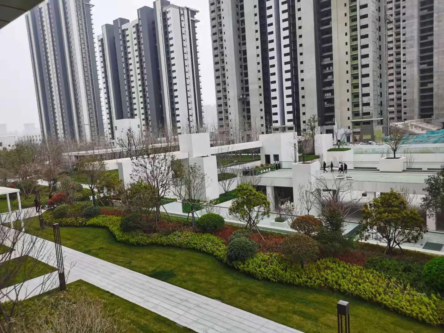 郑州高新区网红地打卡儿童,郑州高新区打卡网红店