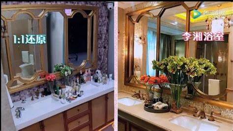 王岳伦对李湘做什么了 (王岳伦为什么对李湘那么好)