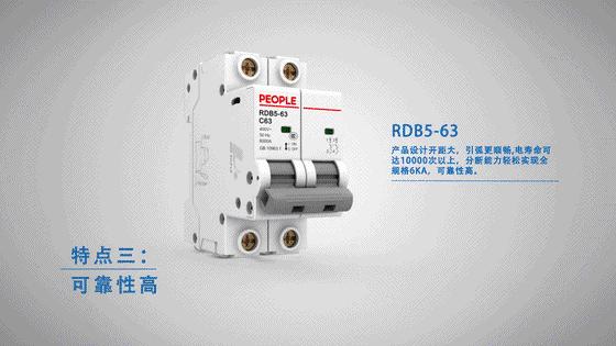 人民电器断路器规格型号,rdb5型断路器参数