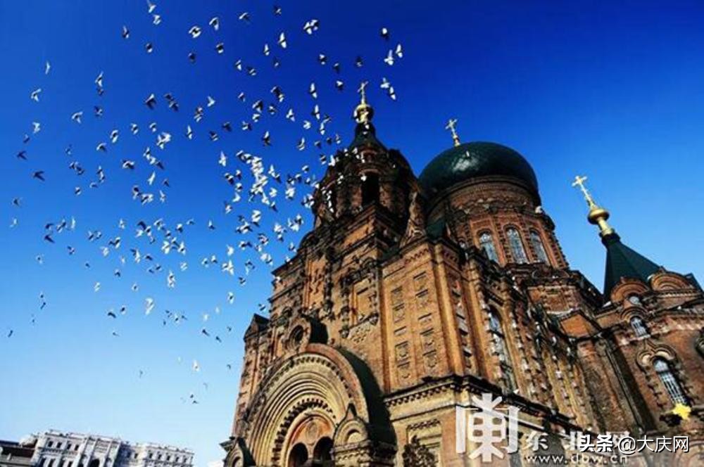 哈尔滨市视听盛宴,哈尔滨开年上演两部大戏