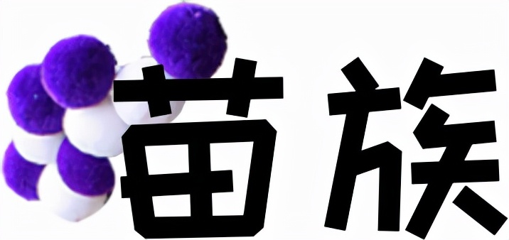 贵州省少数民族方言,贵州人的语言