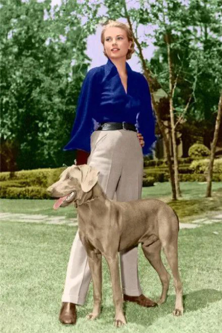 古典型人怎么穿休闲装好看,古典优雅型日常装