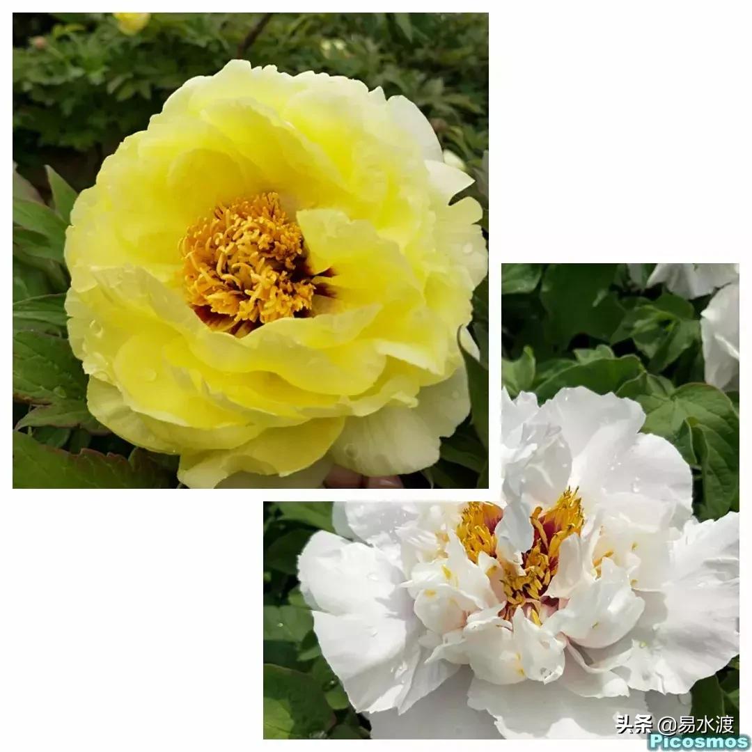 易县好玩,易县谢村文化广场五一