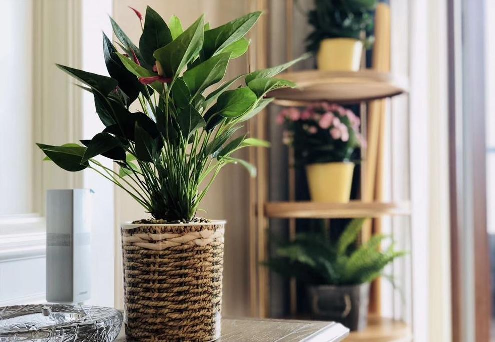 卧室对着厕所怎么化解效果图,卧室对着卧室化解方法