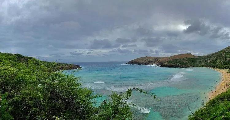 上得了海岛下得了雨林,上得了高山下得了河