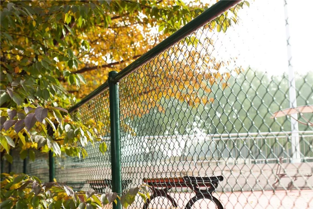 思源学院美景照片,西安思源学院秋景色