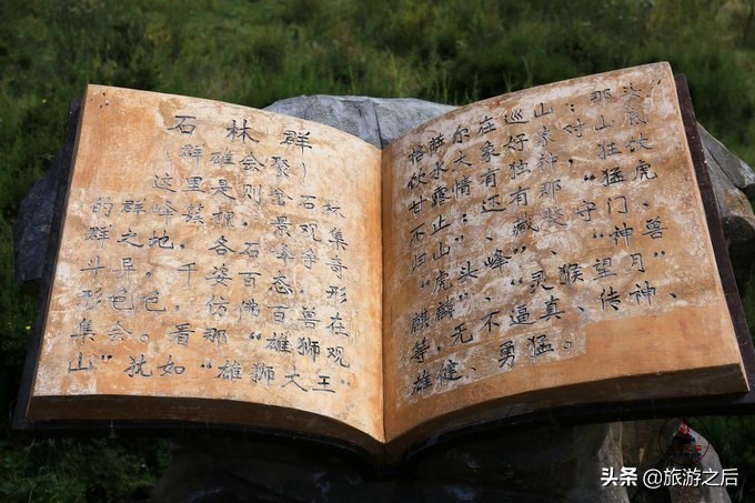 则岔石林风景区值得去吗,碌曲到则岔石林的路好走不