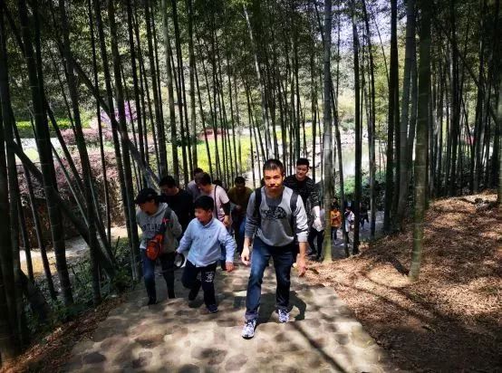 不负假期不负青春,不负韶光享受春日