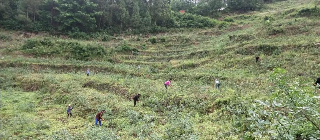 暴利工业废料变废为宝,重庆大叔将加工废蒸汽变废为宝