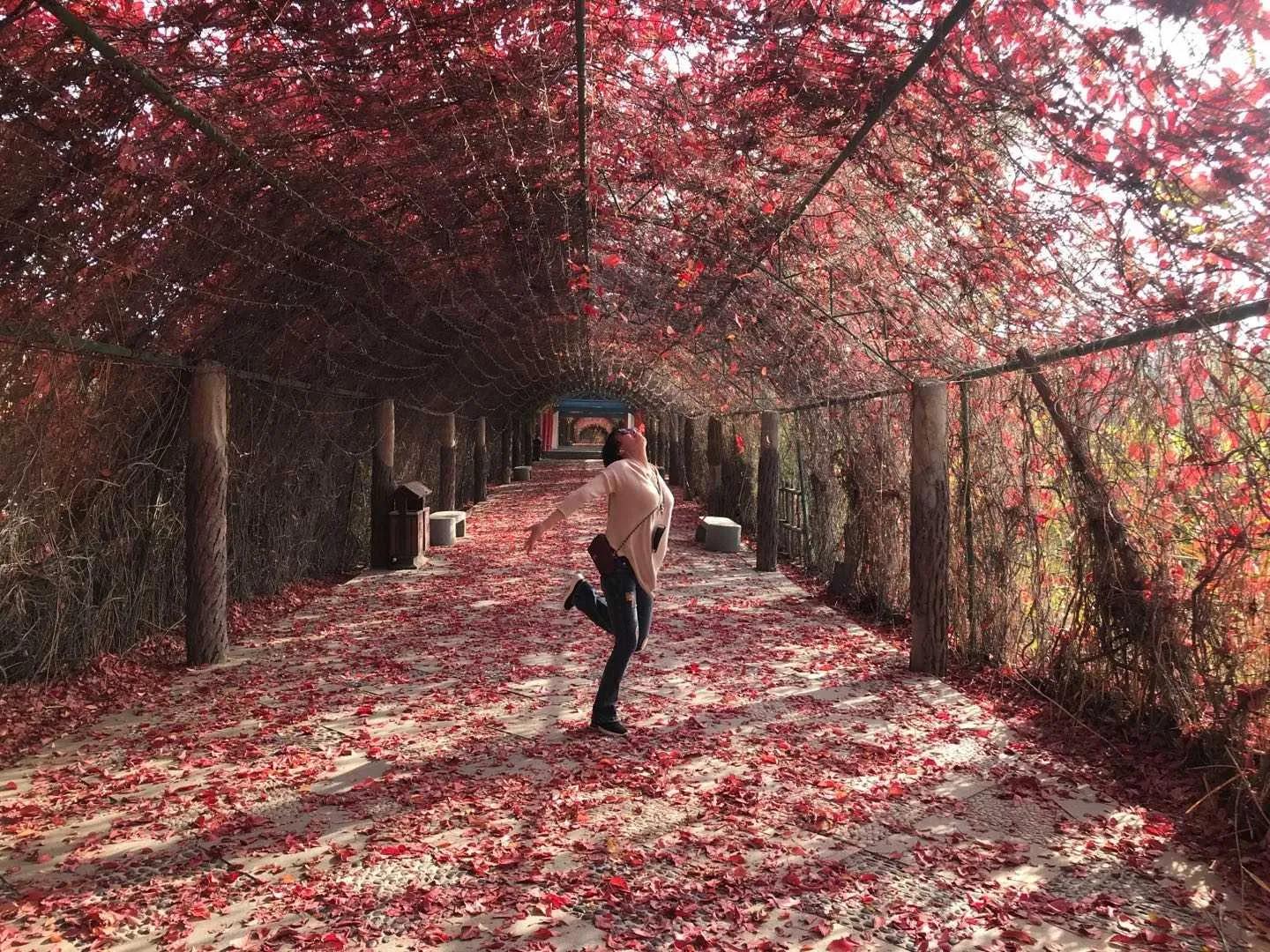 漫漫戒毒路，可怜可期又可叹——顾瑛戒毒自传20