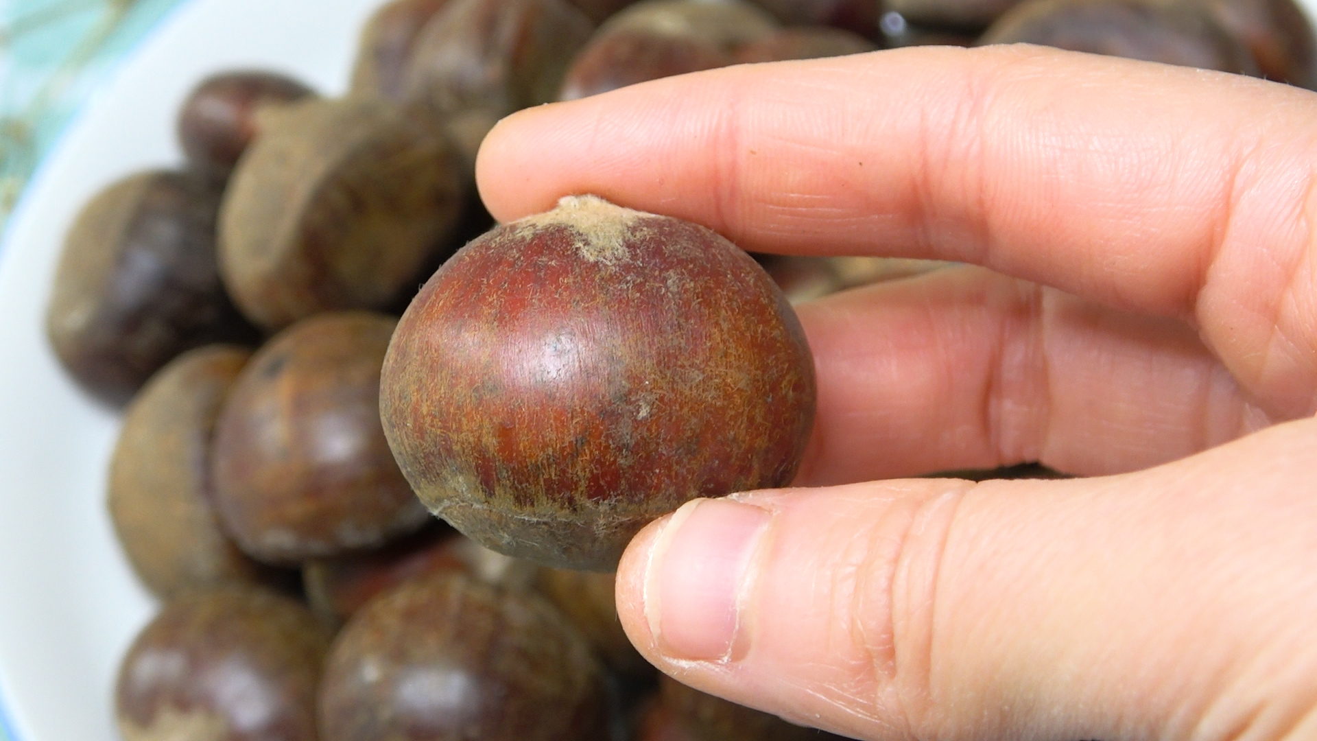 买板栗要带壳还是不带壳,买板栗挑扁的还是圆的