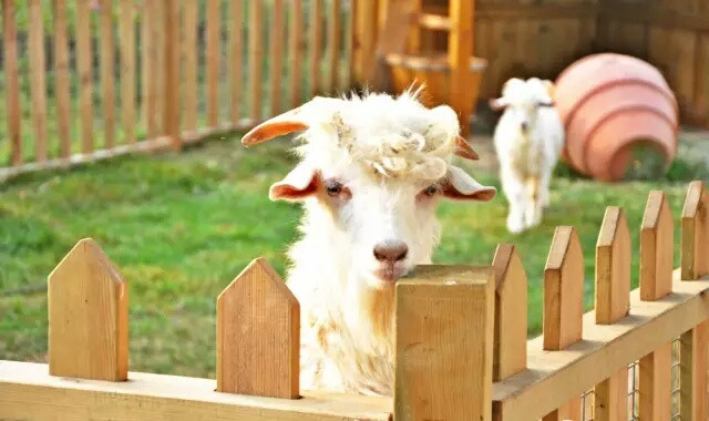 南戴河端午旅游攻略,端午出行海边攻略