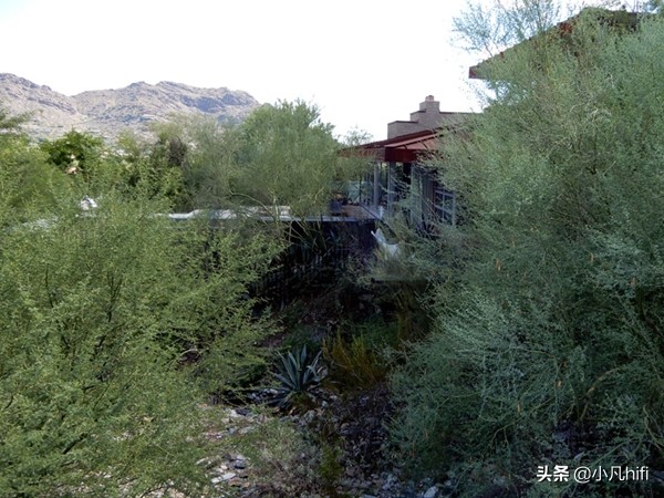 一切都是“最好的”：山谷里的AV乐园