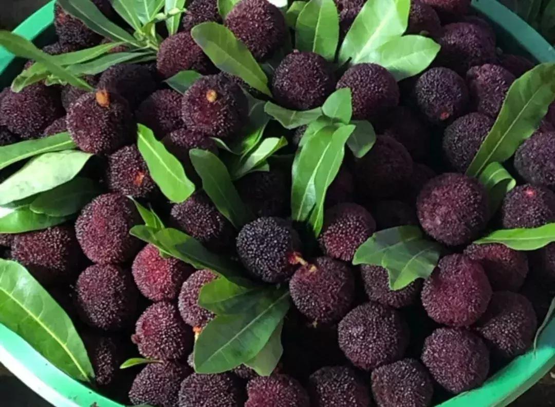 荔枝便宜批发市场,百大周谷堆水果批发市场荔枝价格