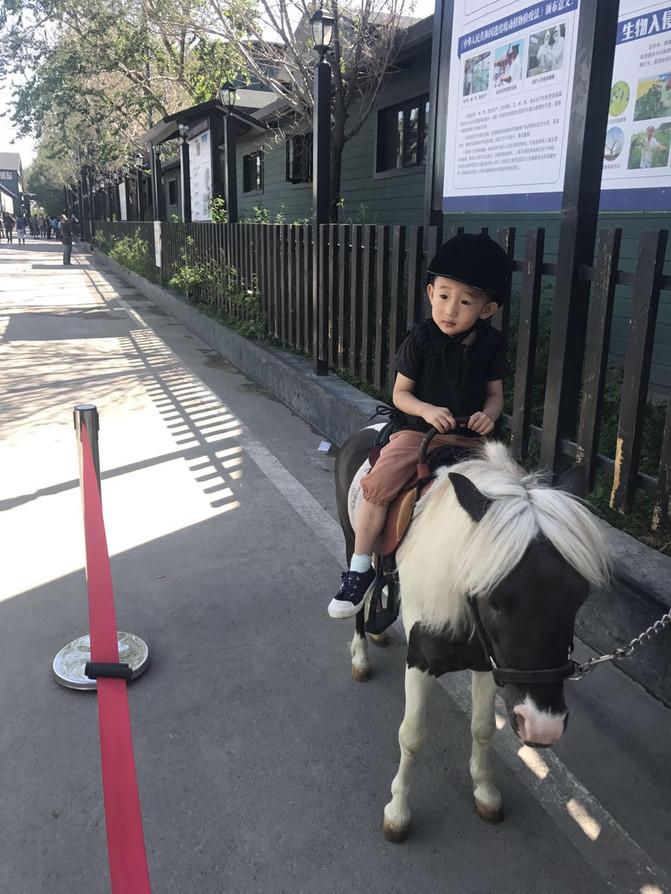 一家四口暑假日常之去游乐场,暑期全家一起大东北出游超欢乐