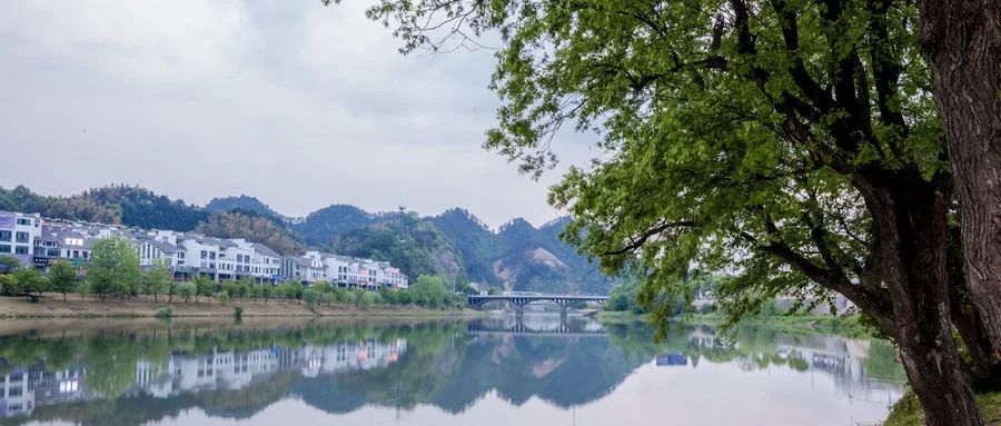 东莞2019年新消息,今年东莞有哪些好变化