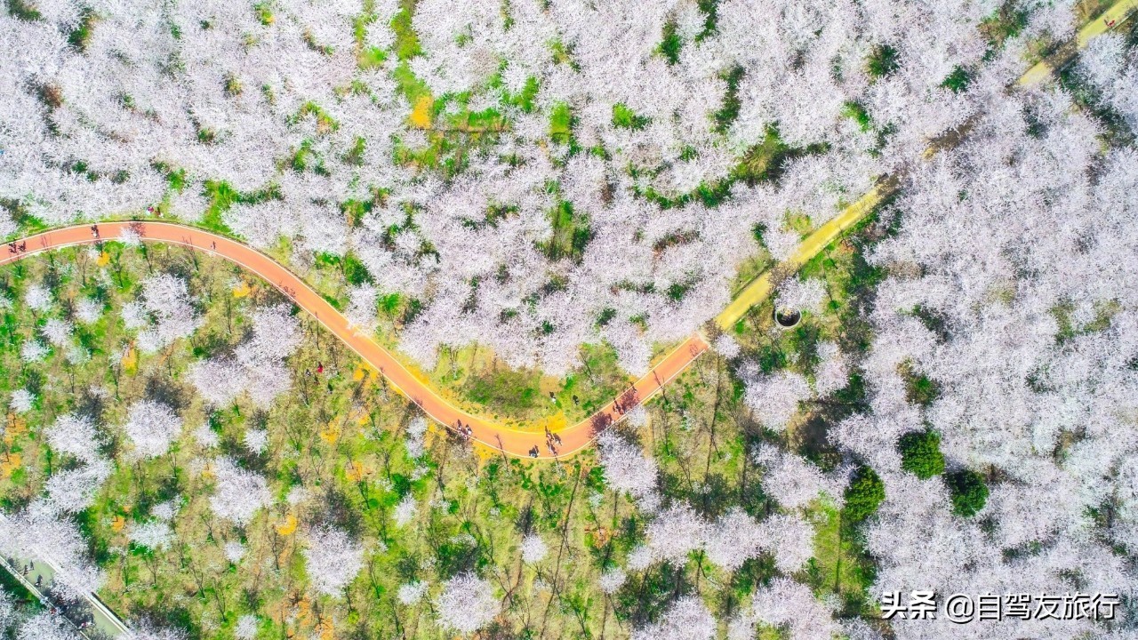 8月最佳旅行地推荐自驾游,4-5月份最佳的自驾短途旅行