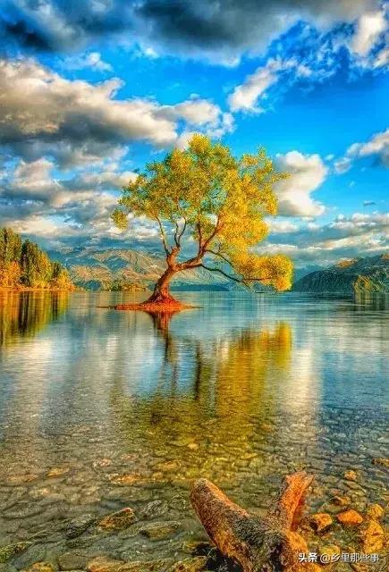 惊艳,百年罕见的绝世美照