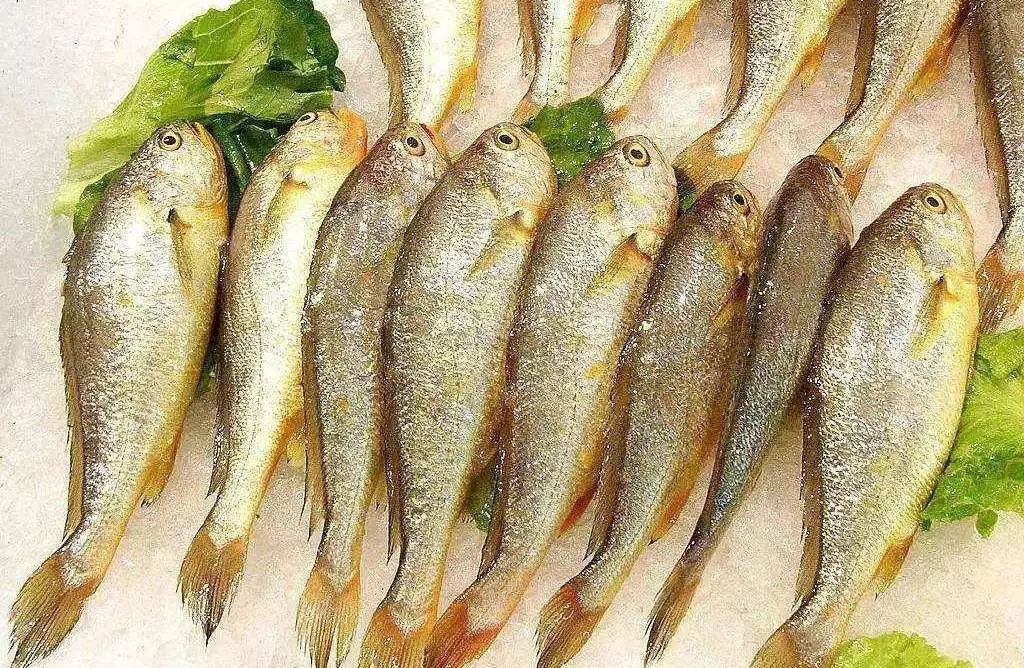 在上海一个月工资两万什么水平,月薪不过3万的看过来