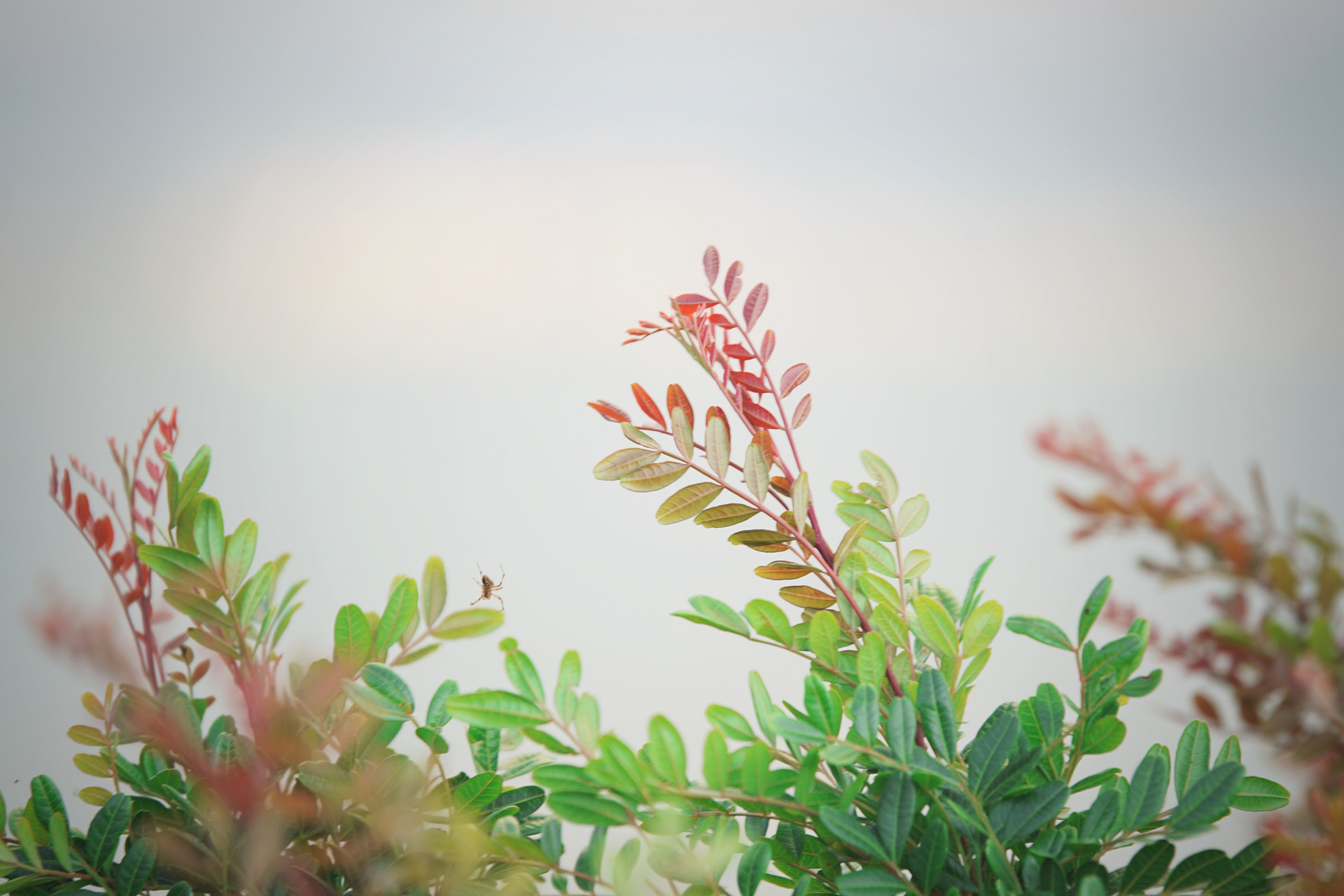 女诗经男楚辞全文,女诗经男楚辞的名字有哪些