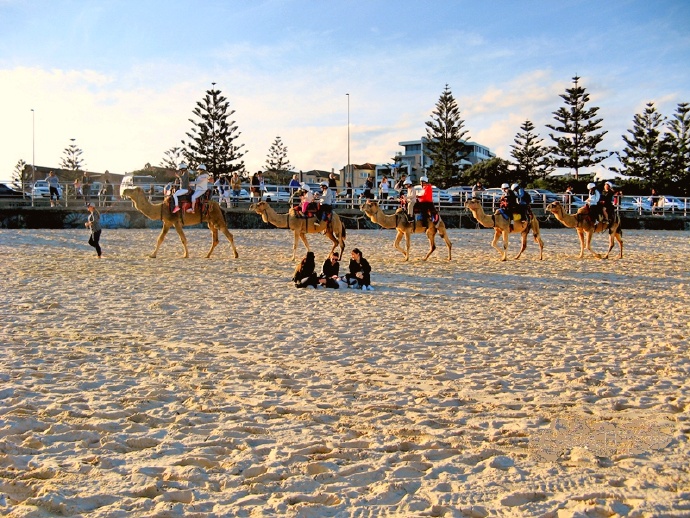 閭﹁开娴锋哗鍐叉氮,鎮夊凹閭﹁开鍐叉氮
