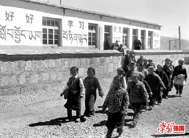 播撒教育文化新希望视频,播撒教育新希望