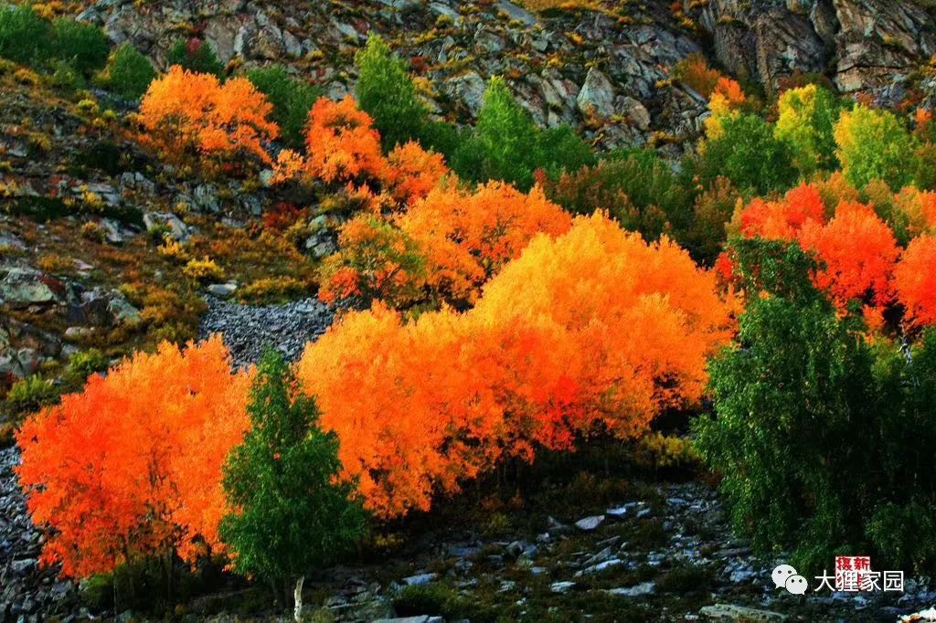 带娃的日子有滋有味,为什么别人的日子过得有滋有味儿