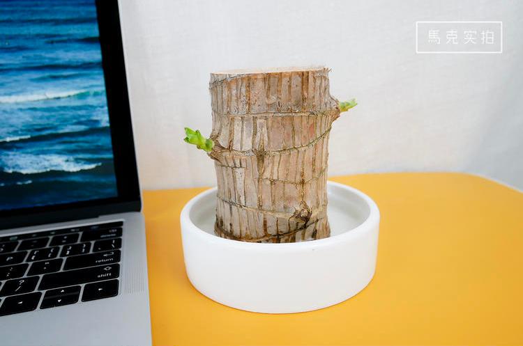 百元内礼物推荐高级小众大气,小众精致不贵礼物150元以内实用