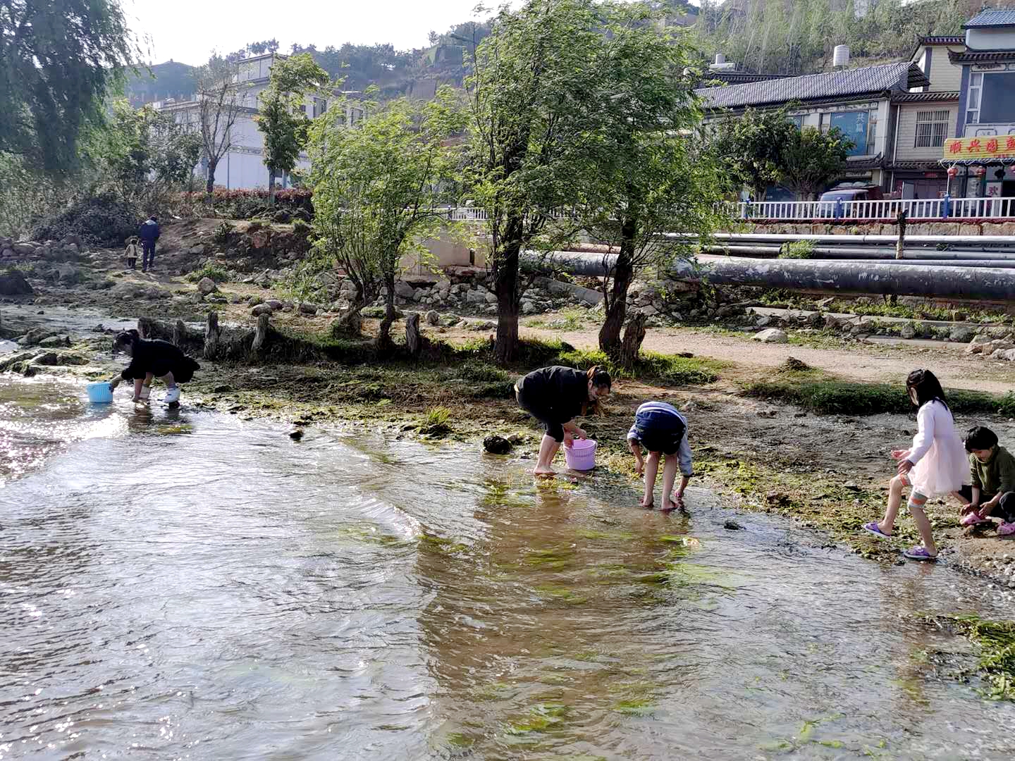 洱海值得去的地方,洱海真正值得去的地方