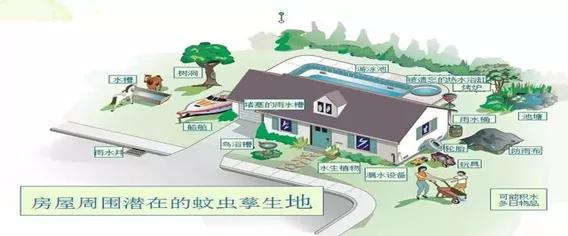 天气热如何灭蚊虫幼虫,夏季怎么消杀去蚊子