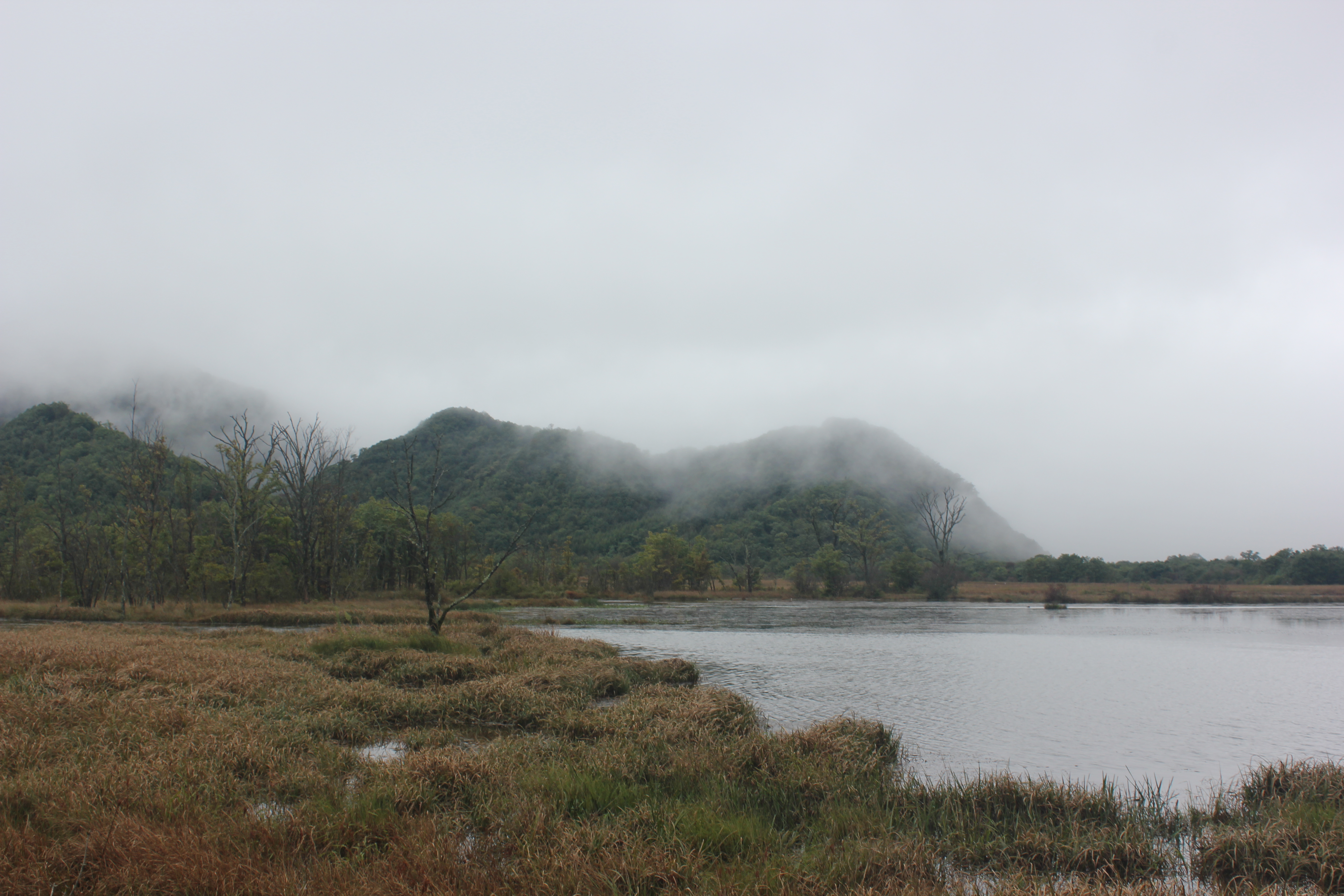 雨中神农架探秘之旅｜国庆节武汉至神农架自驾游攻略分享