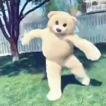 盘点香港高校的最佳专业,香港学生热门专业排名前十