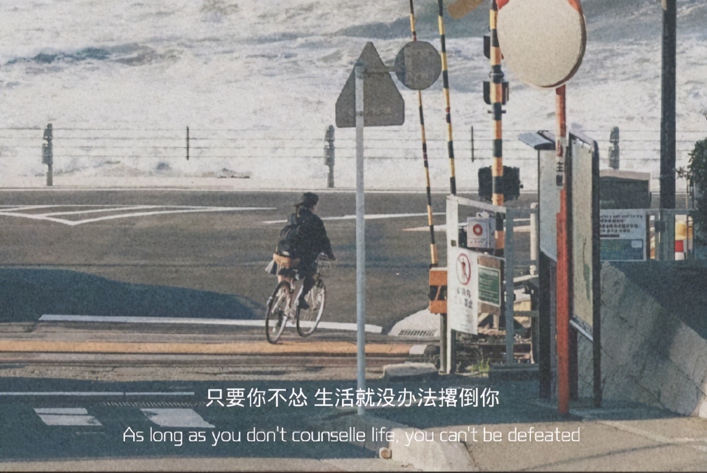 专升本毕业会被歧视吗，我该如何找工作？