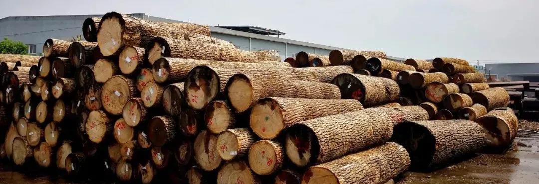 木皮染色材料视频,常见天然木皮