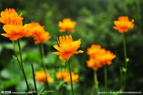 【西师夜读（音频）】中国学生营养日特别节目《五味》（总第11期）