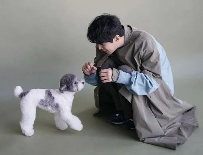 主角不再光芒万丈，我眼中只有万年男二