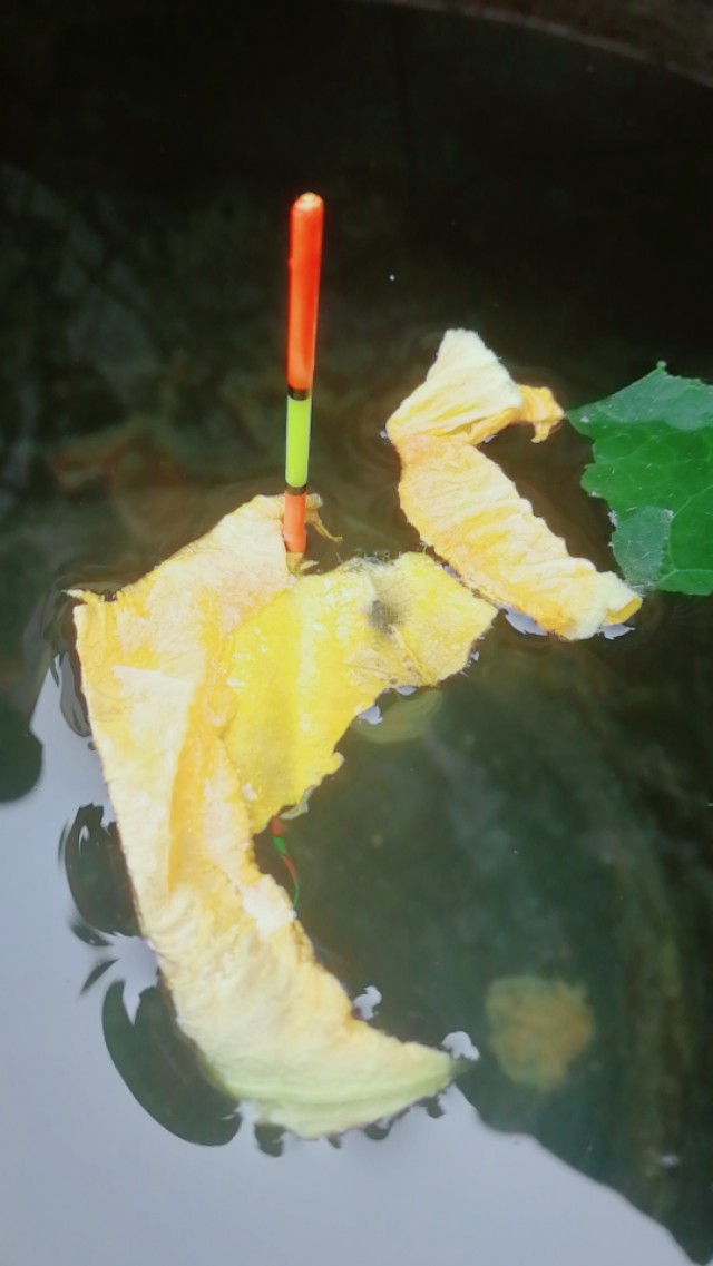 新手如何快速掌握调漂技巧,让你少走弯路,一步到位