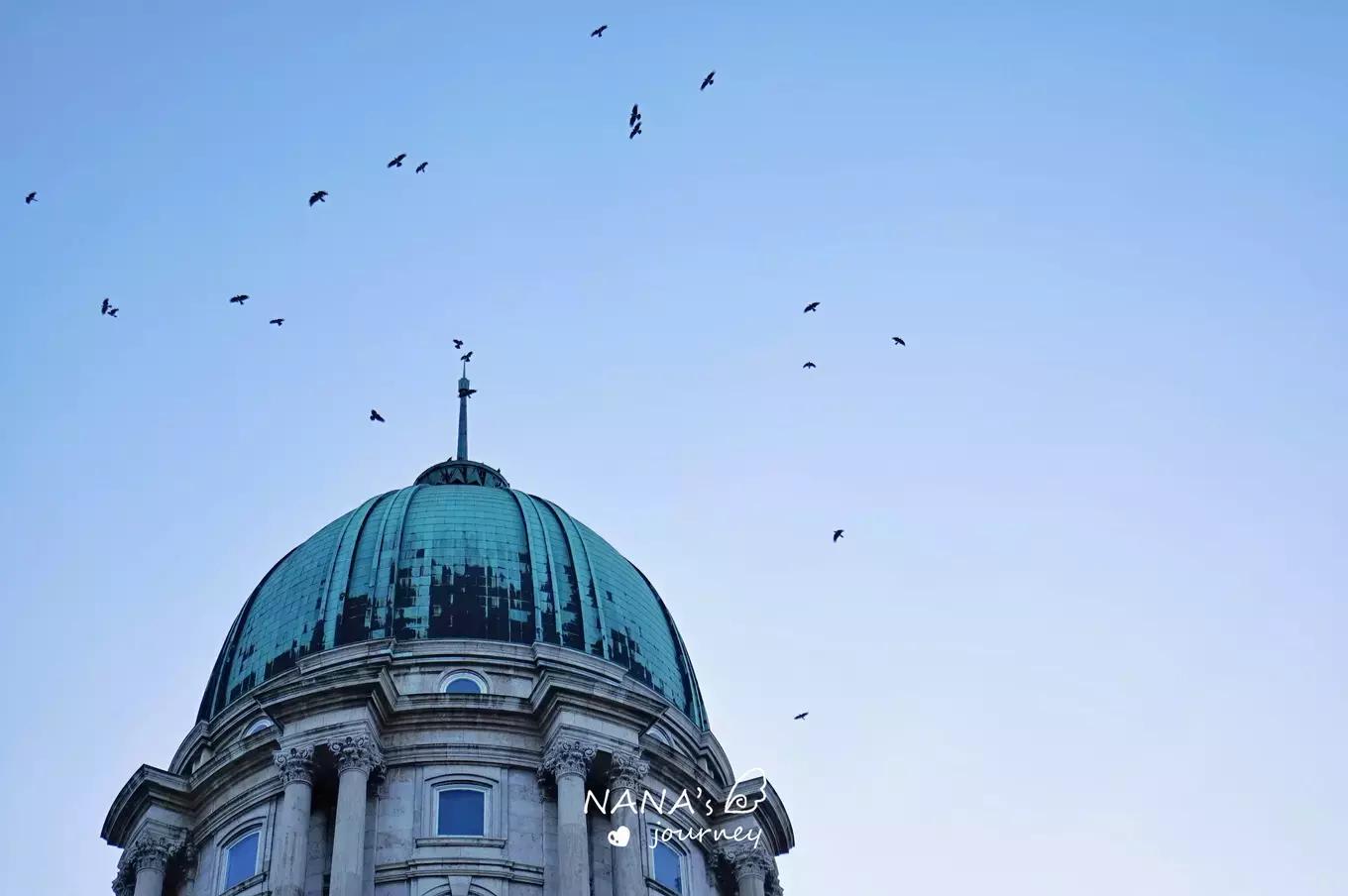 蓝色多瑙河深度解析,蓝色多瑙河到底有多厉害