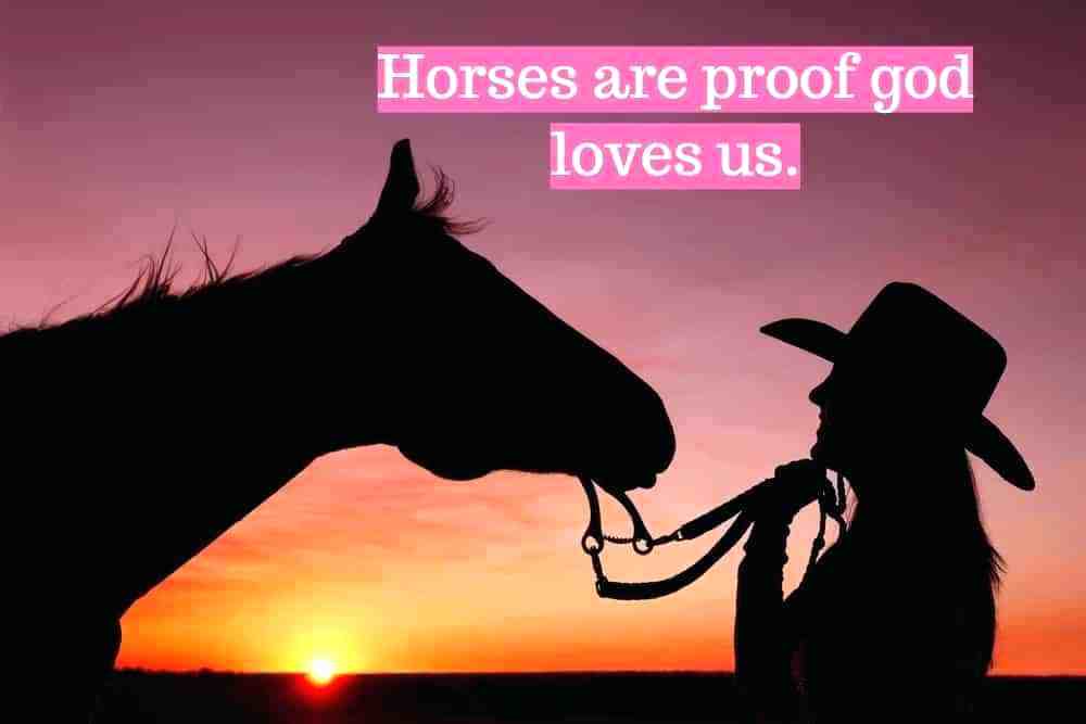 马儿得了肺炎怎么治,马儿的风湿病如何治疗