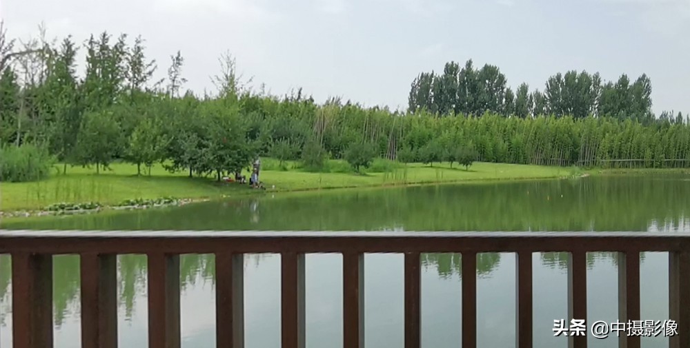 观日照白鹭湾小镇，看湾里人的生活与艺术，是怎样一首田园诗