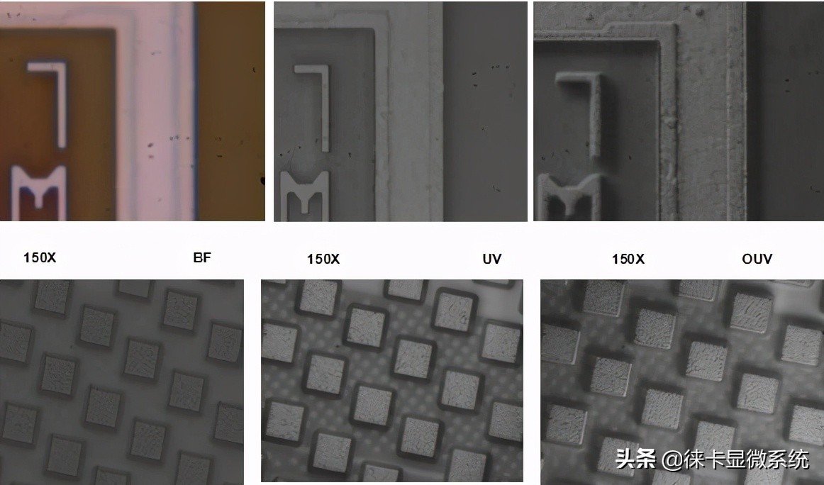 徕卡半导体显微镜,徕卡扫描电子显微镜