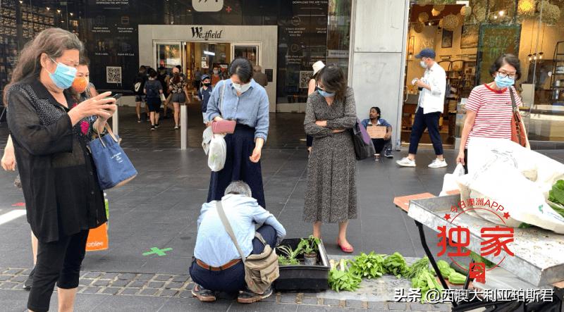 中国大爷在澳洲步行街摆摊卖菜惹争议,网友褒贬不一