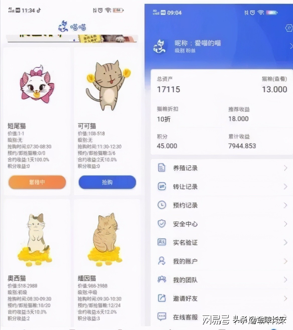 喵喵软件养猫靠谱吗,养猫app骗局