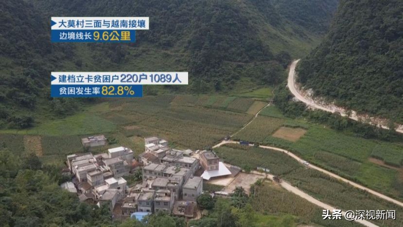 边境小村大莫的蝶变|村里打光棍的小伙少了